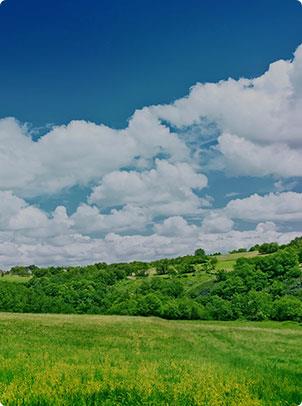 尊龙凯时人生就是搏·(中国区)官方网站