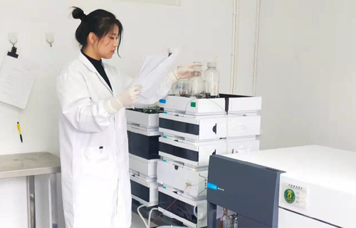 尊龙凯时人生就是搏·(中国区)官方网站