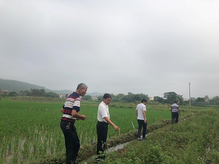 JDB电子·(中国区)试玩平台-JDB电子游戏官网