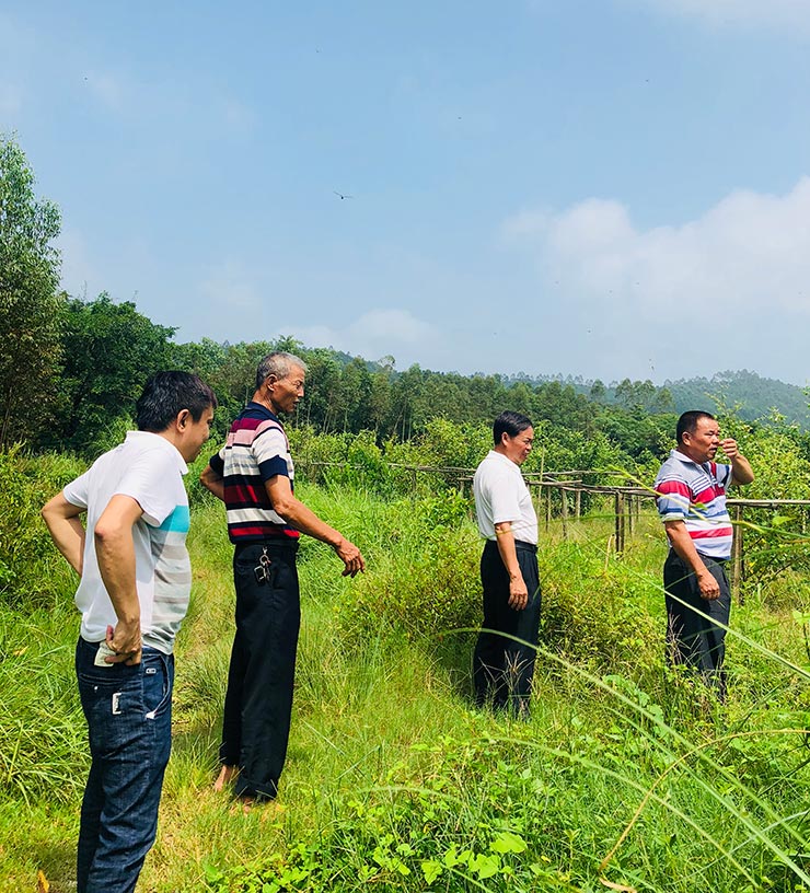 JDB电子·(中国区)试玩平台-JDB电子游戏官网