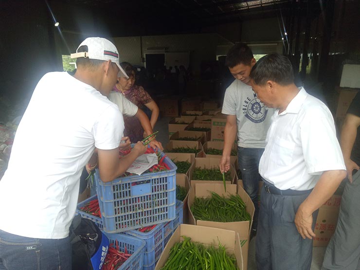 JDB电子·(中国区)试玩平台-JDB电子游戏官网