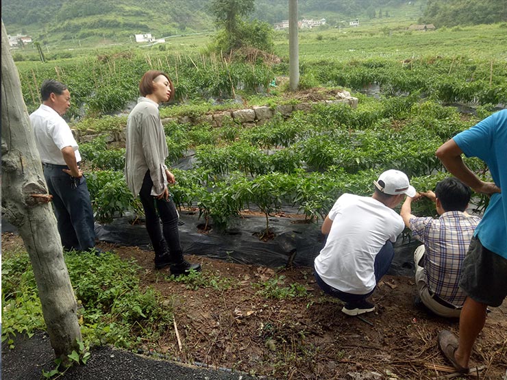 JDB电子·(中国区)试玩平台-JDB电子游戏官网