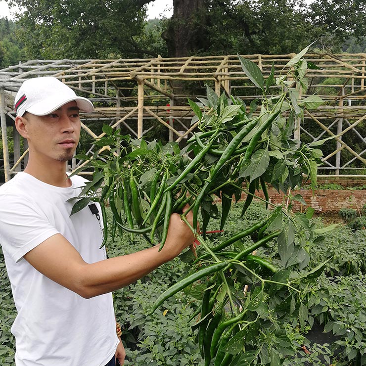 JDB电子·(中国区)试玩平台-JDB电子游戏官网