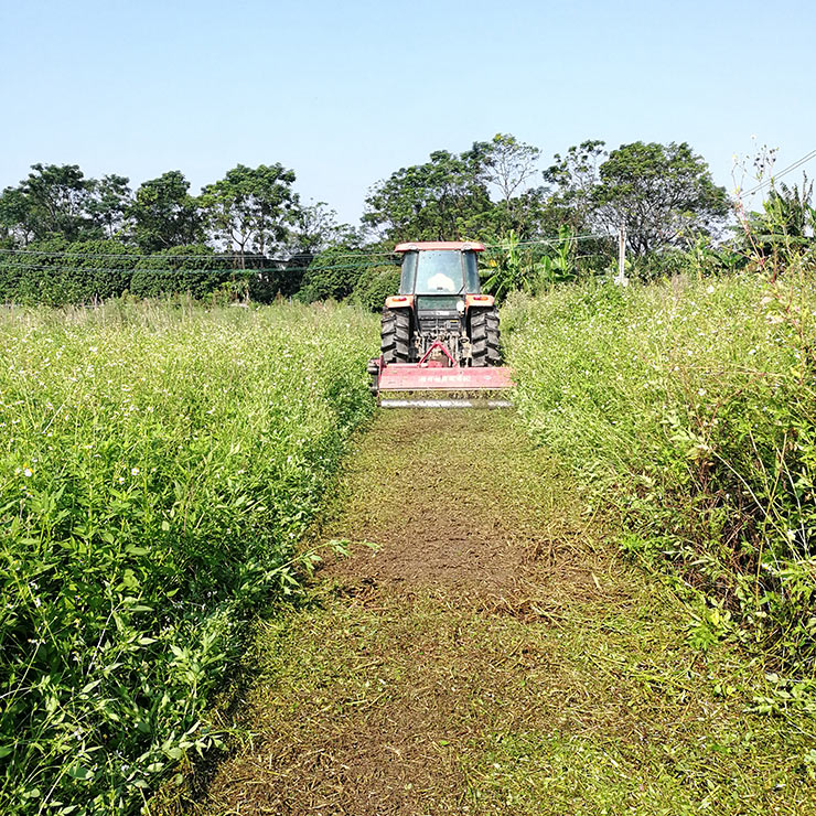 JDB电子·(中国区)试玩平台-JDB电子游戏官网