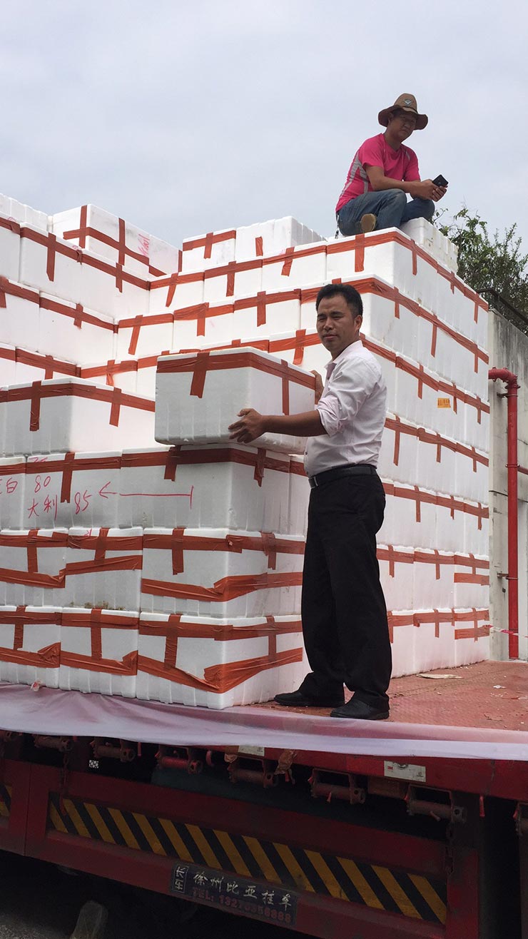 JDB电子·(中国区)试玩平台-JDB电子游戏官网