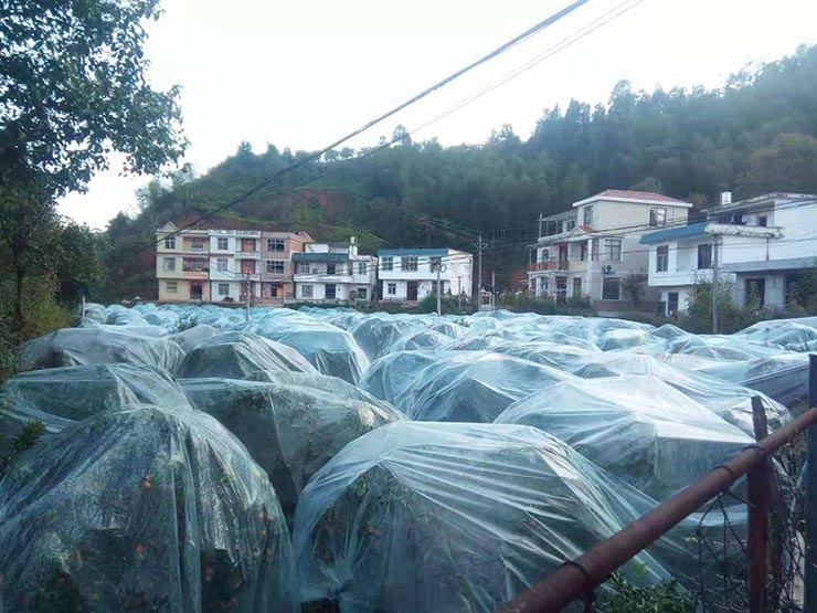 JDB电子·(中国区)试玩平台-JDB电子游戏官网