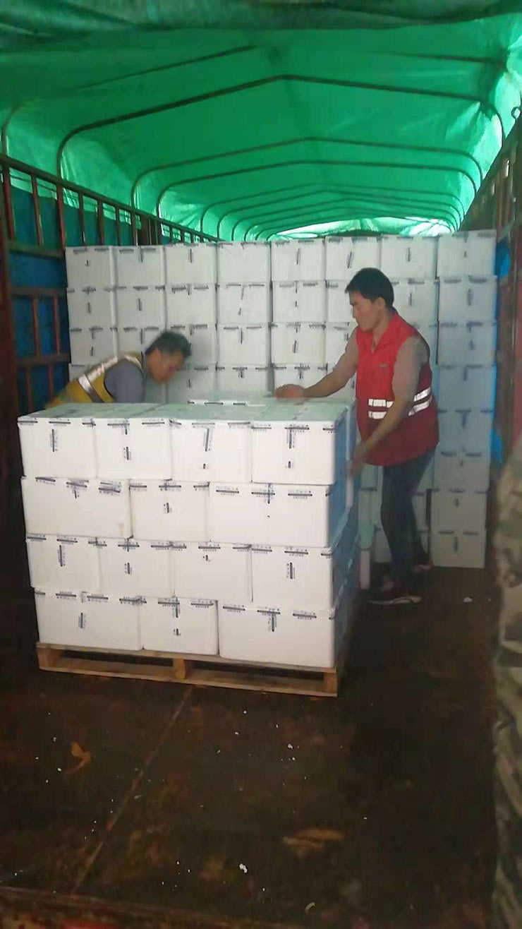 JDB电子·(中国区)试玩平台-JDB电子游戏官网