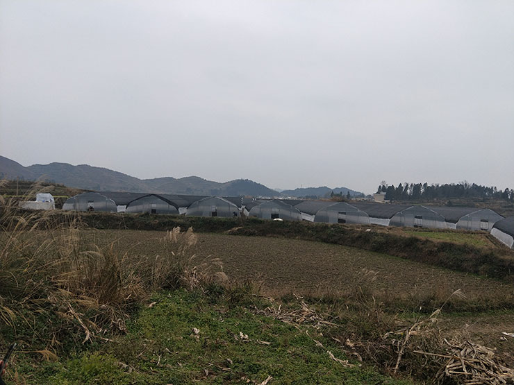 JDB电子·(中国区)试玩平台-JDB电子游戏官网