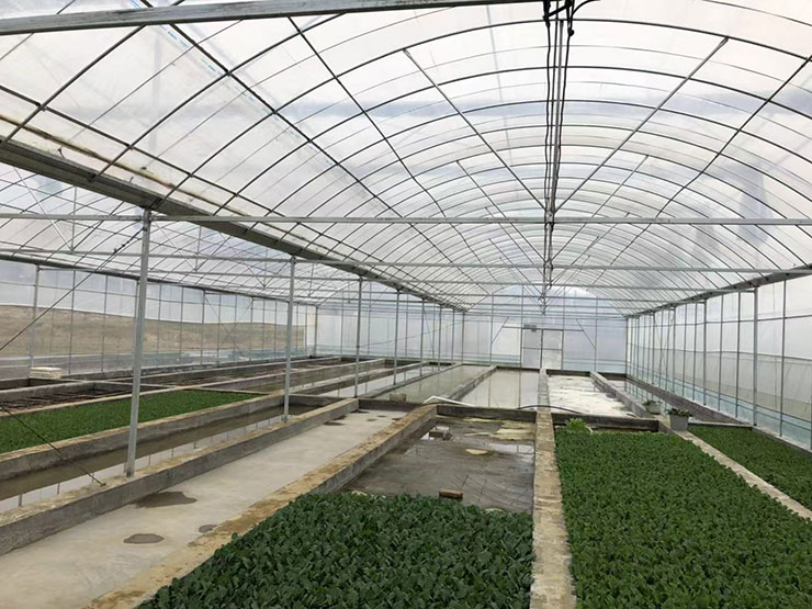 JDB电子·(中国区)试玩平台-JDB电子游戏官网