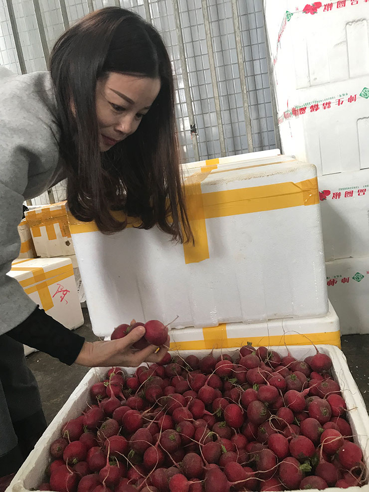 JDB电子·(中国区)试玩平台-JDB电子游戏官网