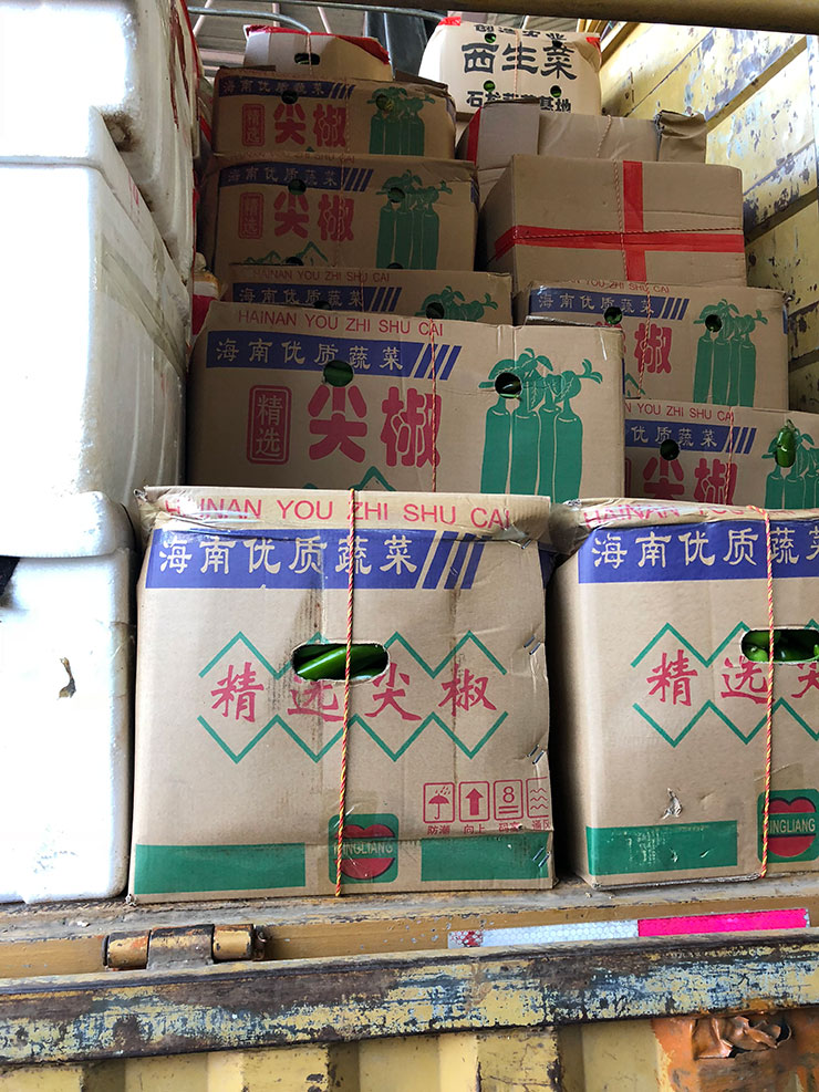 JDB电子·(中国区)试玩平台-JDB电子游戏官网