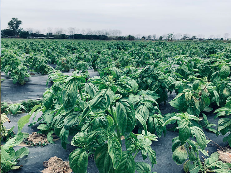 JDB电子·(中国区)试玩平台-JDB电子游戏官网