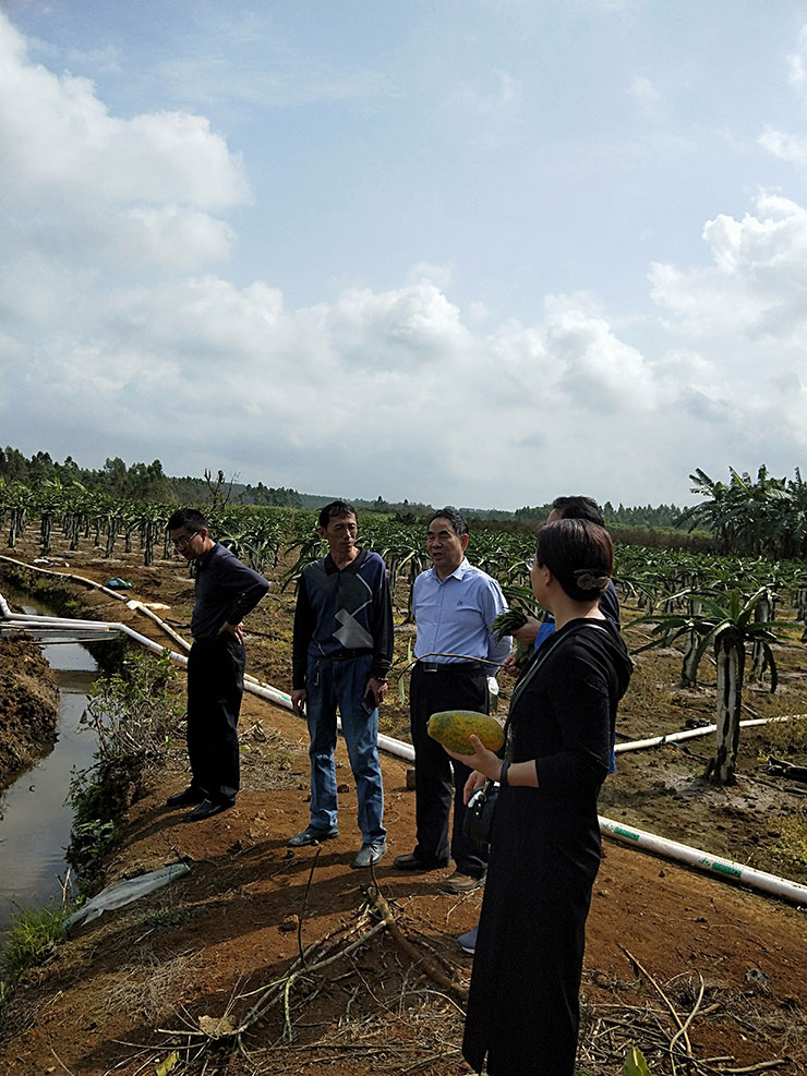 JDB电子·(中国区)试玩平台-JDB电子游戏官网