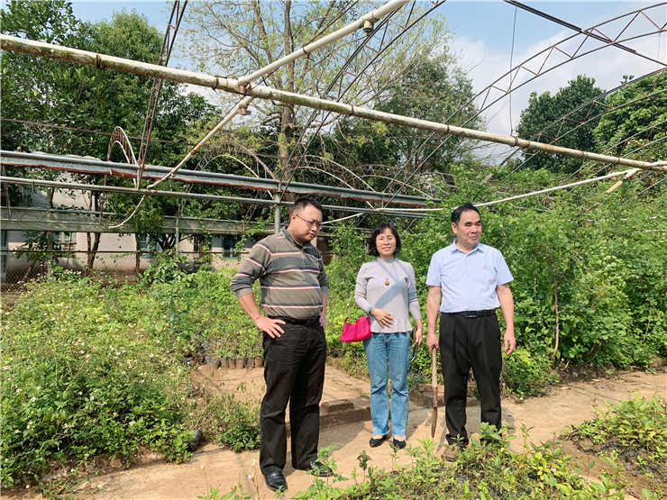 JDB电子·(中国区)试玩平台-JDB电子游戏官网