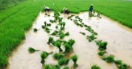 JDB电子·(中国区)试玩平台-JDB电子游戏官网