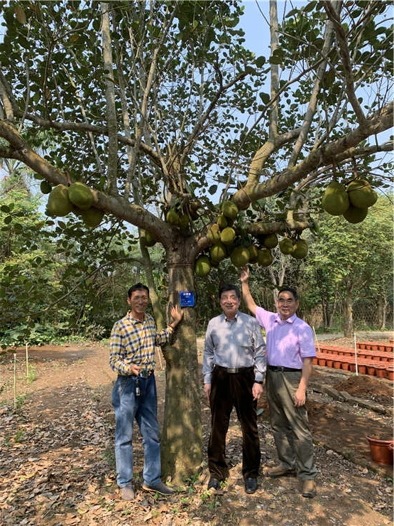 JDB电子·(中国区)试玩平台-JDB电子游戏官网