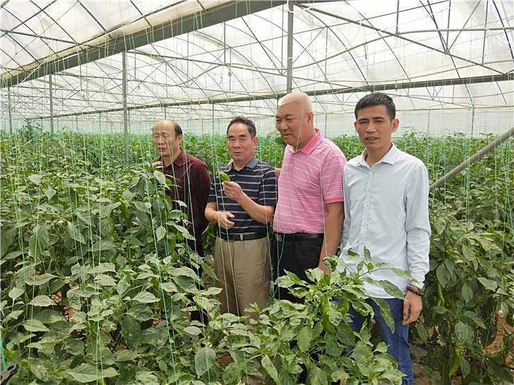 JDB电子·(中国区)试玩平台-JDB电子游戏官网