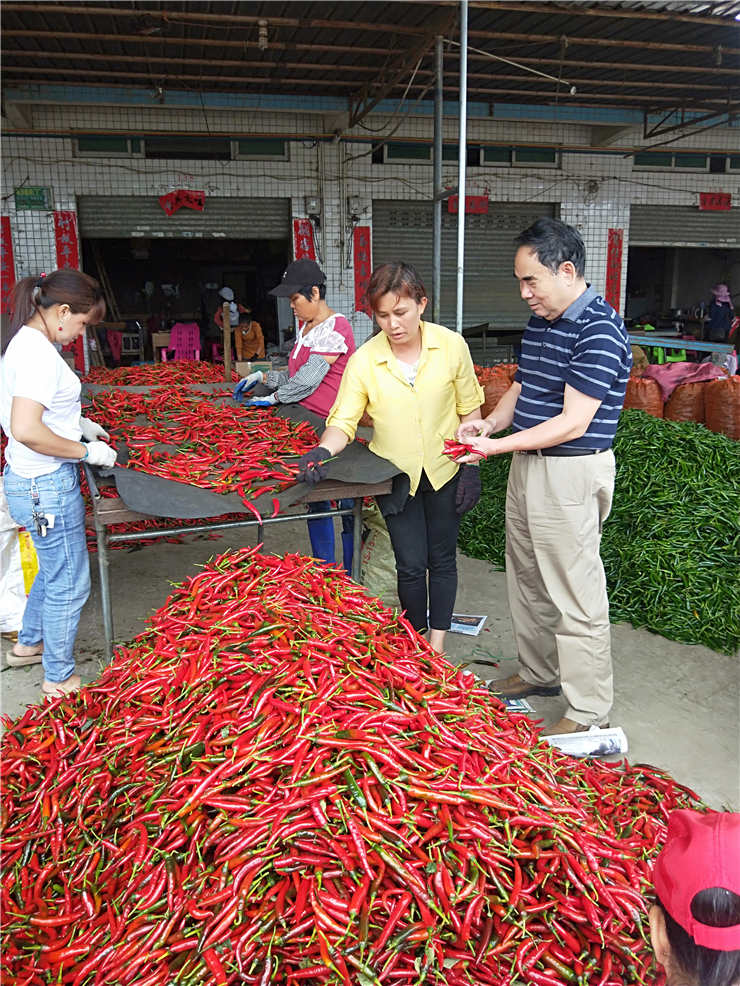 JDB电子·(中国区)试玩平台-JDB电子游戏官网