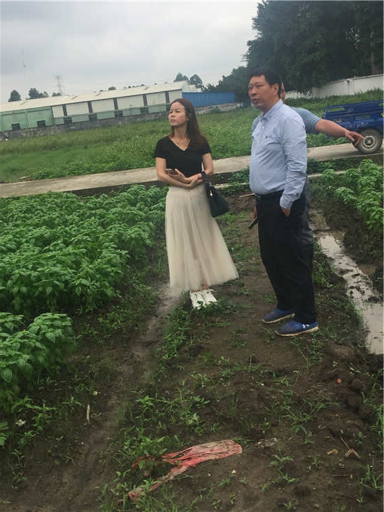 JDB电子·(中国区)试玩平台-JDB电子游戏官网