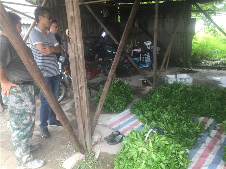 JDB电子·(中国区)试玩平台-JDB电子游戏官网