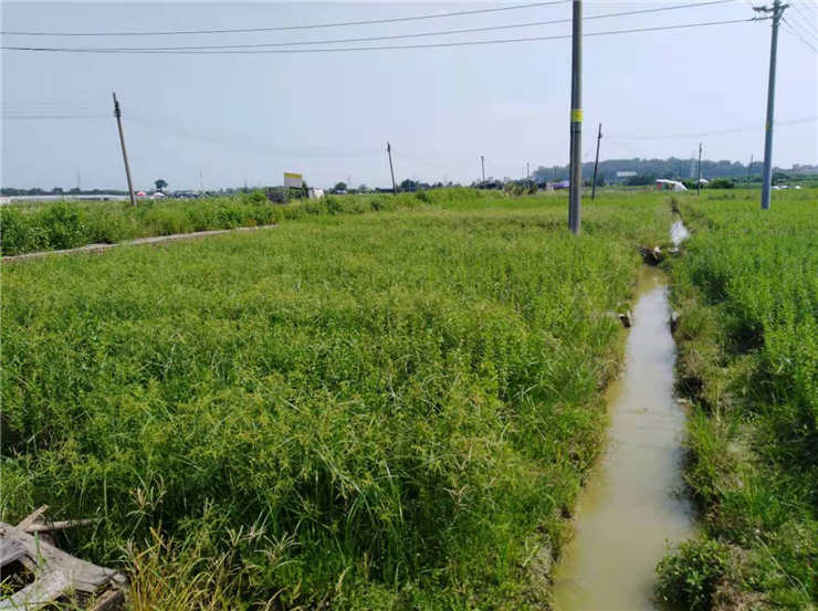 JDB电子·(中国区)试玩平台-JDB电子游戏官网