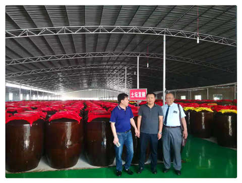 JDB电子·(中国区)试玩平台-JDB电子游戏官网