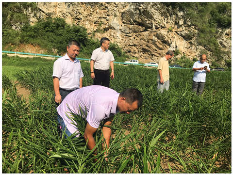 JDB电子·(中国区)试玩平台-JDB电子游戏官网