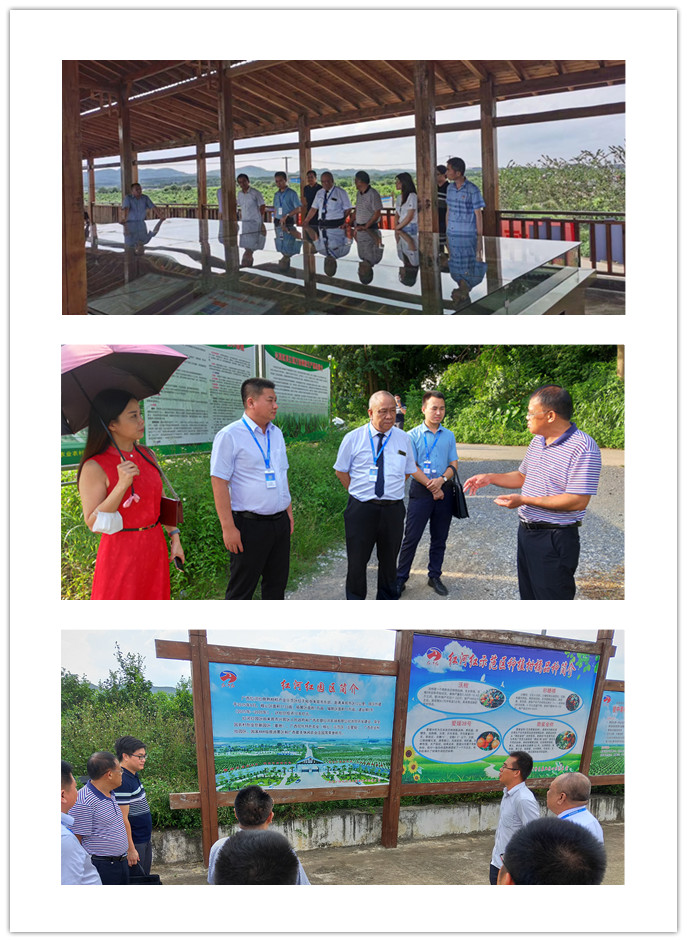 JDB电子·(中国区)试玩平台-JDB电子游戏官网