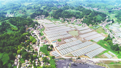 JDB电子·(中国区)试玩平台-JDB电子游戏官网