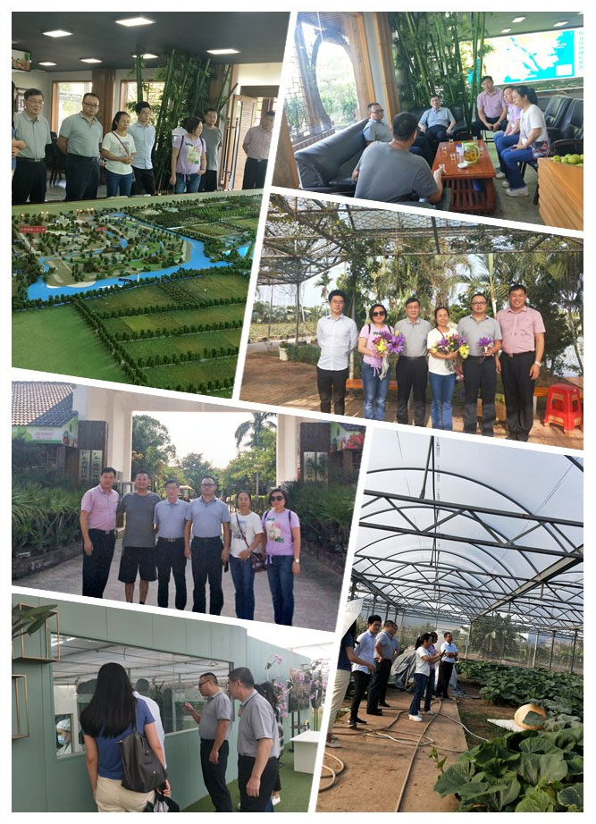 JDB电子·(中国区)试玩平台-JDB电子游戏官网