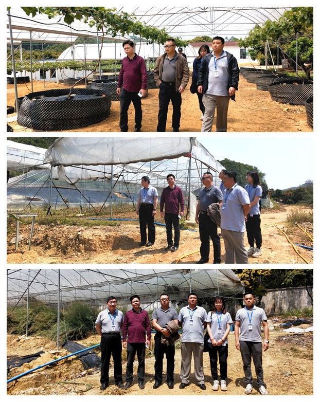 JDB电子·(中国区)试玩平台-JDB电子游戏官网