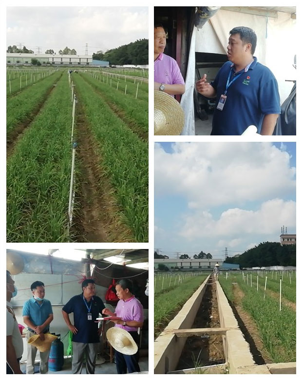 JDB电子·(中国区)试玩平台-JDB电子游戏官网