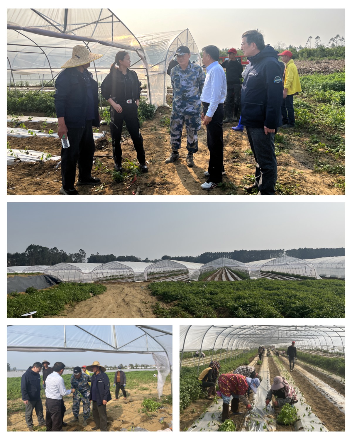 JDB电子·(中国区)试玩平台-JDB电子游戏官网