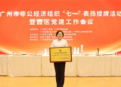 标杆引领，荣誉升级！集团党支部荣膺广州市非公有造经济组织“双强六好”标