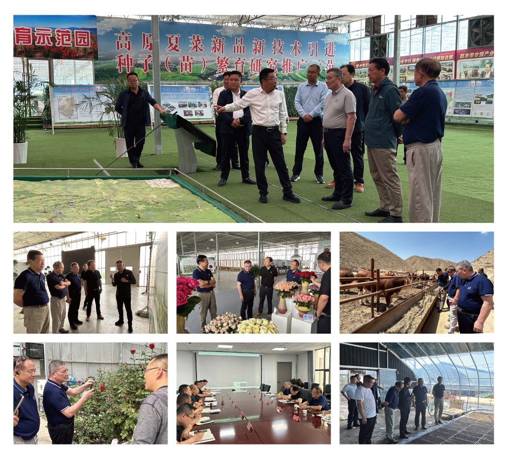 JDB电子·(中国区)试玩平台-JDB电子游戏官网