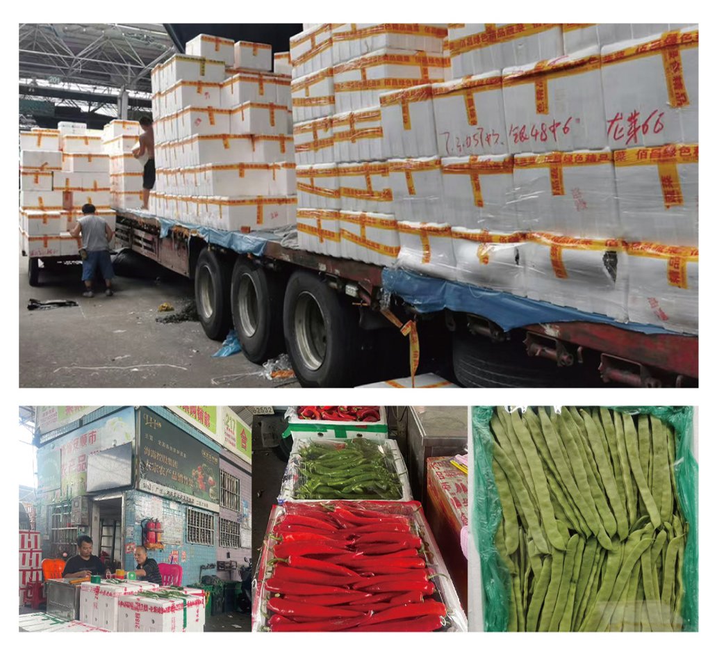 JDB电子·(中国区)试玩平台-JDB电子游戏官网